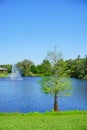 A small pond and geyser in a Florida community Royalty Free Stock Photo