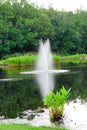 A small pond and geyser in a Florida community Royalty Free Stock Photo