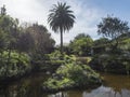 Small pond or lake and lush vegetation at botanical garden, Jardin Botanico Canario Viera y Clavijo, Tafira, Gran