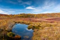 Small Pond - Late Autumn Scene - Dolly Sods Wilderness - West Virginia Royalty Free Stock Photo