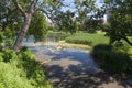 A small pond located in Loring Park. Royalty Free Stock Photo