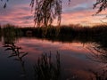 Small pond with marsh grasses at sunset in the Clark County Wetlands Park, Henderson, Nevada Royalty Free Stock Photo