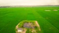 small pond in the middle ofrice fields Royalty Free Stock Photo