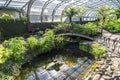 A small pond with a moving toad popular with kids and visitors dropping coins in David Welch winter gardens, Duthie Park, Aberdeen