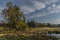 Small pond near Kladska village in fog wet cold morning Royalty Free Stock Photo