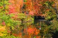 Small pond in New England Royalty Free Stock Photo