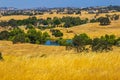 Small Pond In Sierra Foothills