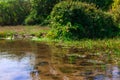 Small pond with still water