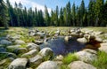 Small pond in summer scenery Royalty Free Stock Photo