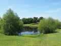 Small pond surrounded by trees