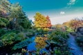 Small pond surrounded by vegetation and a tree with yellow and red leaves reflected in the water