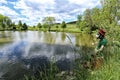 Small pond with trees around with small water sprite in reed