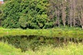 A small pond with water lilies in a forest Park Royalty Free Stock Photo