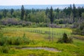 A small pond with water in the middle of the field, the road along the fence in the Yakut spruce forest.