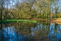 Small pond in the woods in the springtime