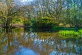 Small pond in the woods in the springtime