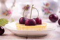 Small portion chessecake decorated with sweet cherries Royalty Free Stock Photo