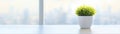 A small potted plant sits on a bright white table in front of a large window with a blurred cityscape view, creating a Royalty Free Stock Photo
