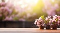 Small Potted Plants on Wooden Table