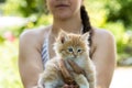 small pretty red-headed kitten on the woman chest. Care concept