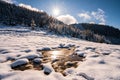 Small puddle of melted snow in the spring sun in the carpathian mountains Royalty Free Stock Photo
