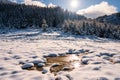 Small puddle of melted snow in the spring sun in the carpathian mountains Royalty Free Stock Photo