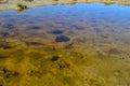 A small puddle. Sivas. Turkey. 2022.