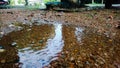 Small puddles on a rainy day.