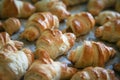 Small puff croissants on a sheet for baking - homemade cakes.