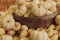 Small pumpkin gourds in rustic wooden basket at fall rural farm market Royalty Free Stock Photo