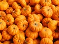 Small pumpkins Royalty Free Stock Photo