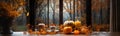 Pumpkin display with candle and fall foliage resting on window sill with a country veiw banner - generative AI