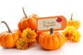 Small pumpkins with chrysanthemums and card Royalty Free Stock Photo