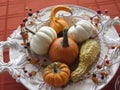 Small pumpkins and gourds of various colors, displayed on platters from various angles and depth Royalty Free Stock Photo