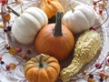 Small pumpkins and gourds of various colors, displayed on platters from various angles and depth Royalty Free Stock Photo