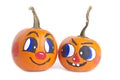 Small Pumpkins on White Background