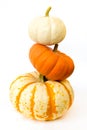 Small Pumpkins, white and orange Royalty Free Stock Photo