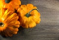 Small Pumpkins on a Wood Background