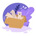 Puppies in carton box, shelter for animals vector Royalty Free Stock Photo