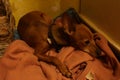 Small puppy of zwerg pinscher miniature goes to sleep in his bed composed of cotton rags of batteries and in a corner of the house
