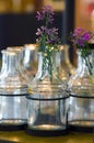 Flowers in a glass vase