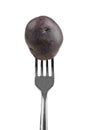 Small purple potato on a fork isolated on white