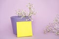 Small purple and white gypsophila flowers on a pink background Royalty Free Stock Photo