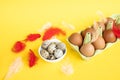 Small quail eggs with chicken eggs in a paper tray with colorful feathers lie in a white plate Royalty Free Stock Photo