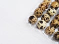 Small quail eggs on transparent plastic tray Royalty Free Stock Photo