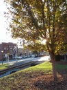 Sunset sunshine sun light Downtown buildings stores rail road small town quaint green trees