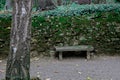 Small Quiet Bench in Forgotten Garden