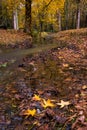 Small Quiet Creek with Colorful Leaves in Autumn Royalty Free Stock Photo