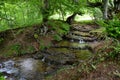 small quiet mountain river in the forest Royalty Free Stock Photo