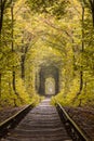 Small railway through autumn forest